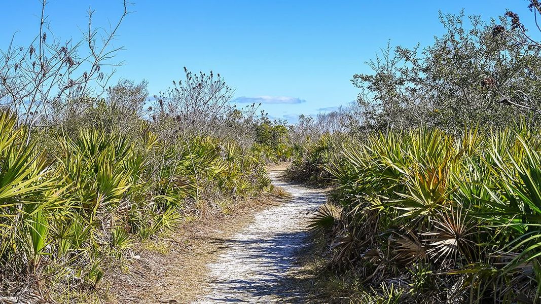 Natural landscape and outdoor views near Colbert Landings in Palm Coast (Image 92).