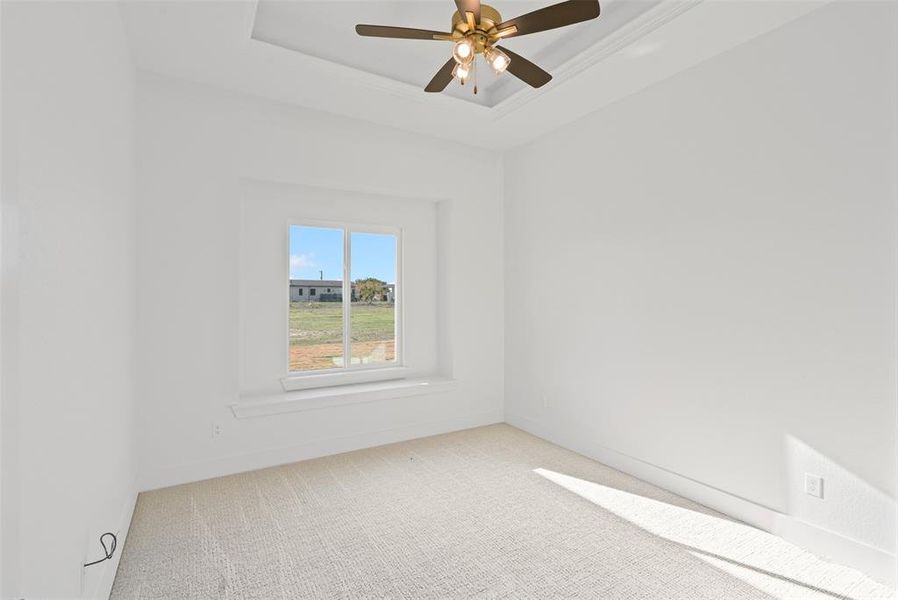 Unfurnished room featuring ceiling fan, carpet floors, ornamental molding, and a tray ceiling