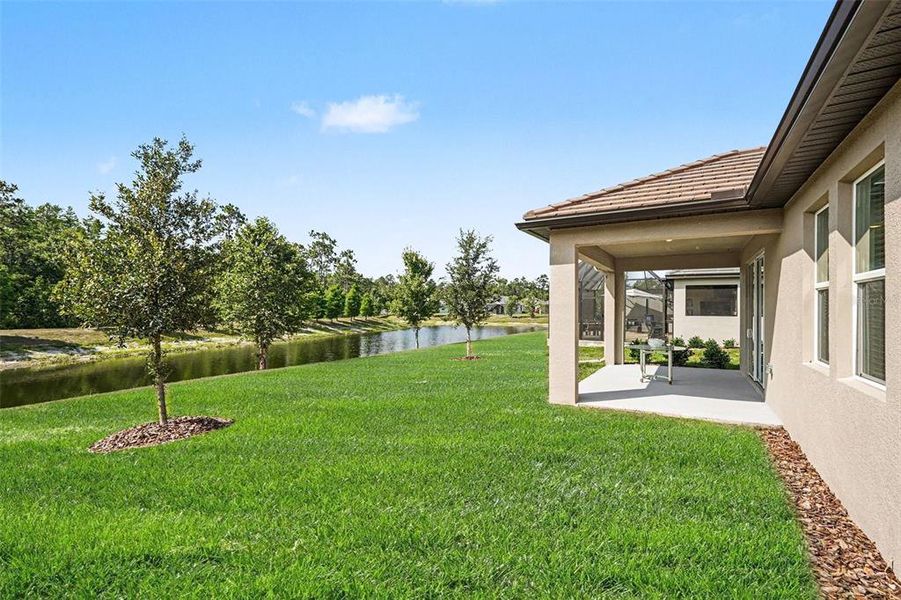 Exterior details and patio area of a home in Angeline Active Adult, Land O' Lakes (Image 24).