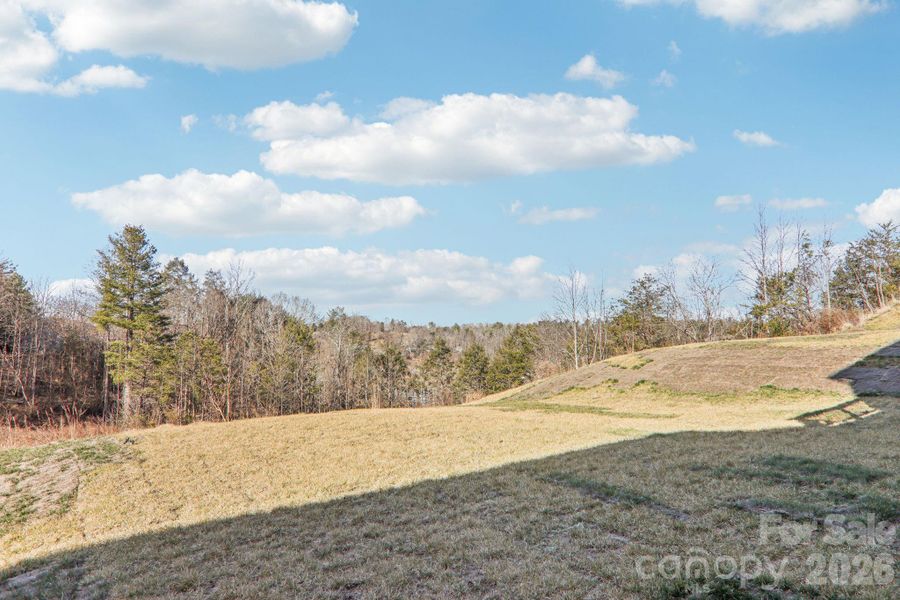 Natural landscape and outdoor views near Rydele Heights in Asheville (Image 37).