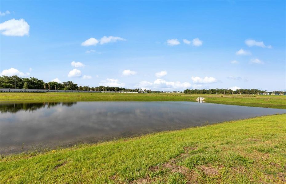 Natural landscape and outdoor views near Reagan Landing in Bradenton (Image 40). Natural landscape and outdoor views near Reagan Landing in Bradenton (Image 40).