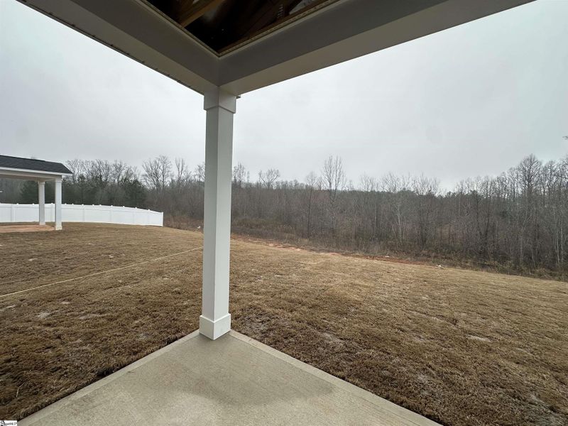 Exterior details and patio area of a home in Shiloh Trail, Wellford (Image 3).