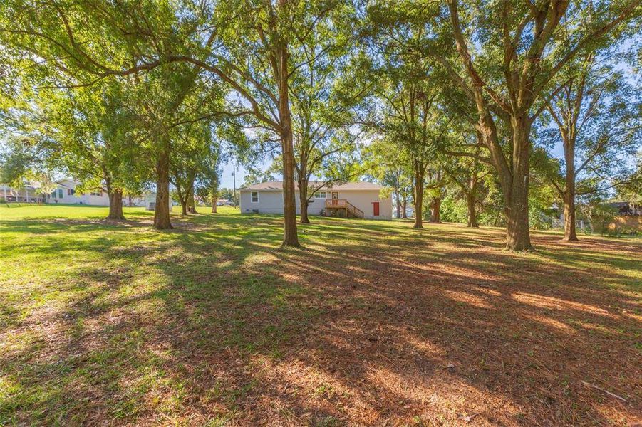 Natural landscape and outdoor views near  in Dade City (Image 44).