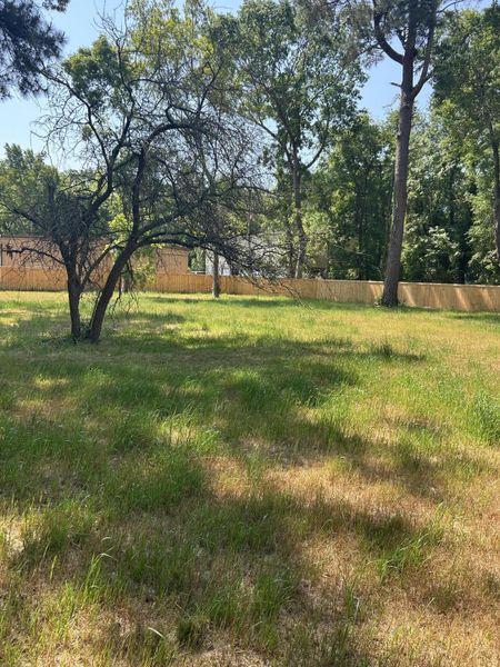 Natural landscape and outdoor views near  in Charleston (Image 5).