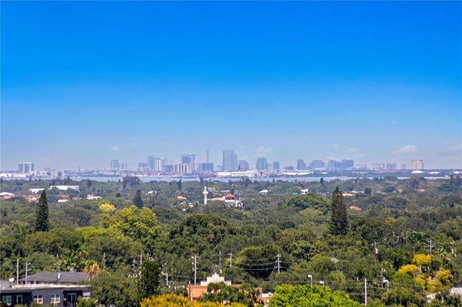 Natural landscape and outdoor views near  in St. Petersburg (Image 68).
