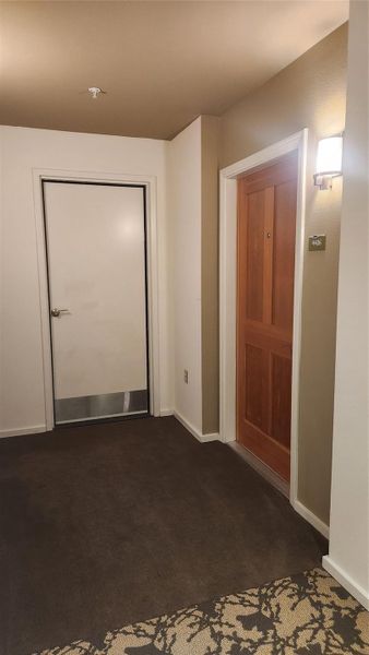 Both entrance doors to #4406 (wood) and the 55' Bonus Room - Closet #4410 (white), which convey together. Only 1 of 6 extra rooms at Barton Place - highly coveted. Extra 55' Footage & value are included in sales price. Buyer can sell #4410 separately at the time and price of their choosing (after closing).