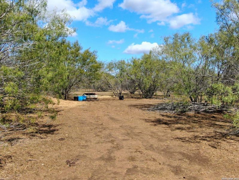 Natural landscape and outdoor views near  in Stockdale (Image 6).