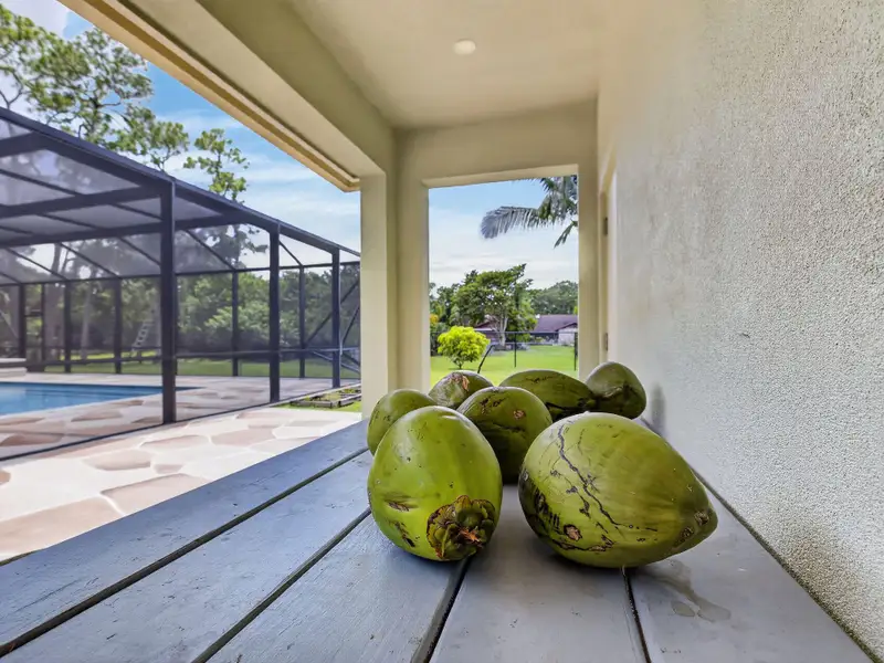 Coconuts from the Property
