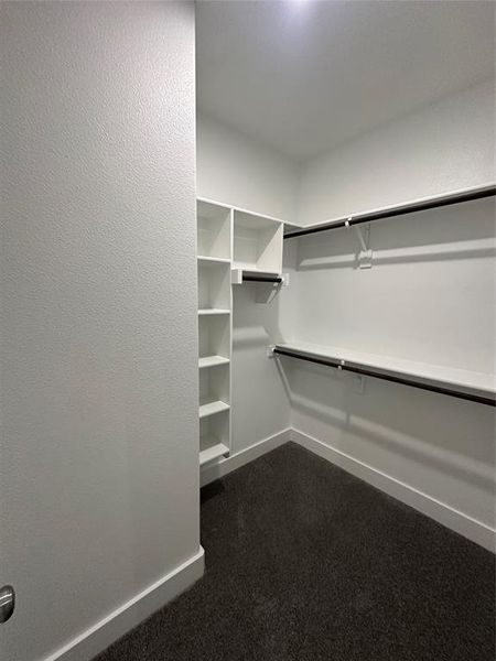 Spacious closet featuring dark carpet