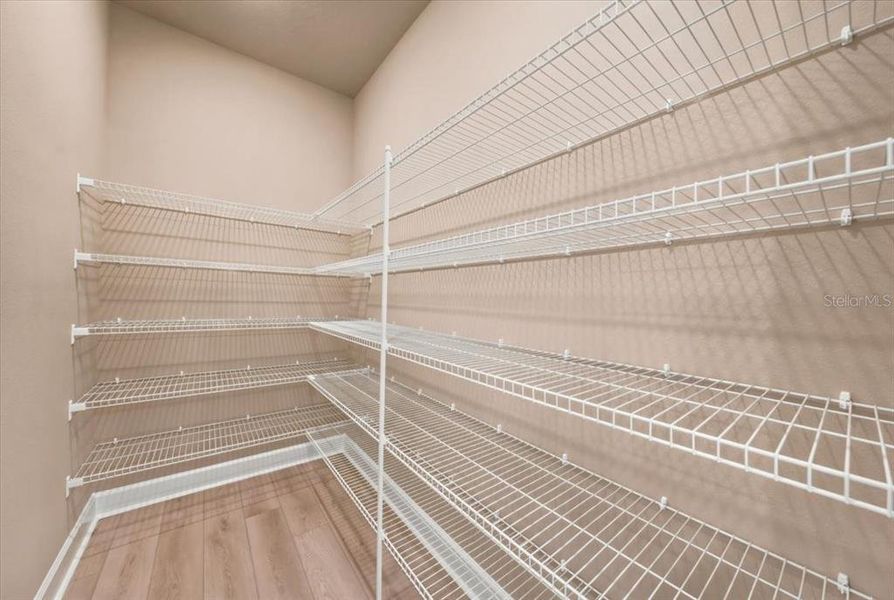 Spacious, unfurnished interior of a new home in Coasterra Community Group Page, Palmetto (Image 27).