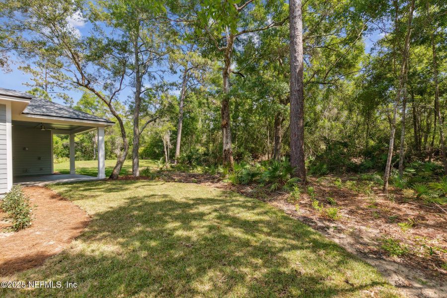 Natural landscape and outdoor views near  in Yulee (Image 41).