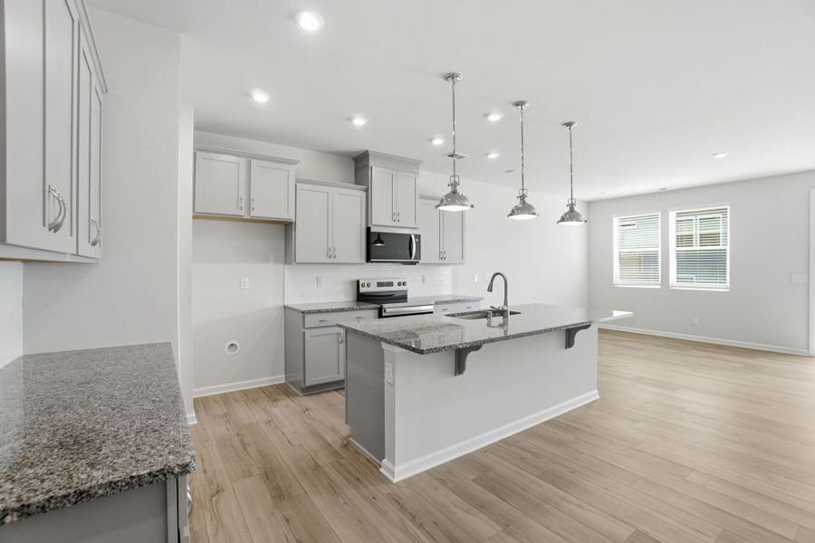 Furnished interior view inside a new home in Arbor Chase, Clover (Image 5).