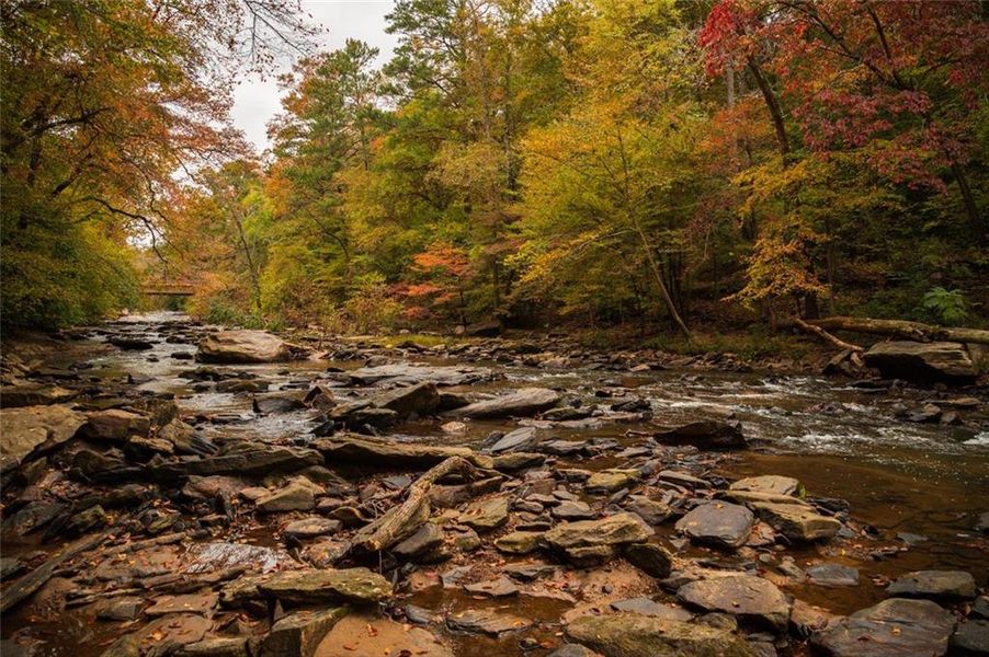 Natural landscape and outdoor views near The Village at Shallowford in Kennesaw (Image 37).