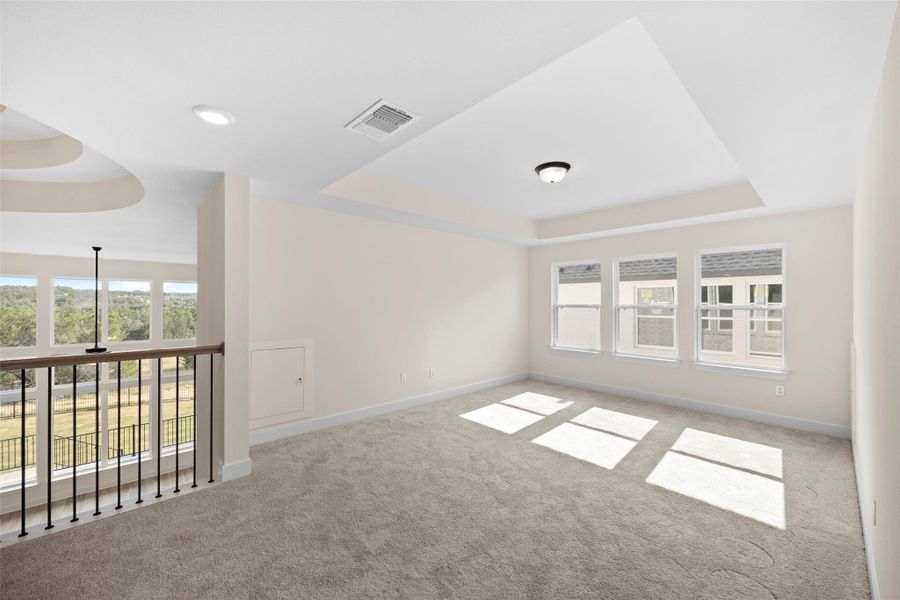 Unfurnished room featuring a raised ceiling, plenty of natural light, and carpet flooring Unfurnished room featuring a raised ceiling, plenty of natural light, and carpet flooring
