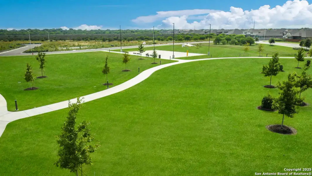 Natural landscape and outdoor views near Steele Creek in Cibolo (Image 38).