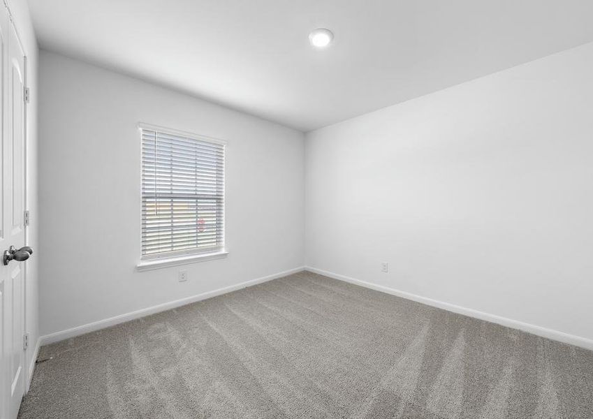 An additional bedroom with lush carpet flooring