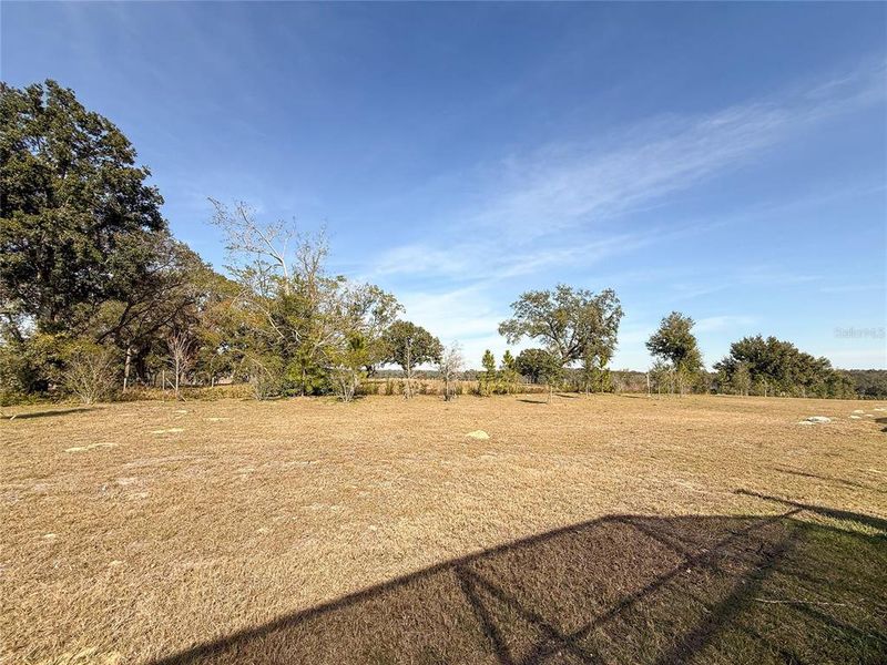 Natural landscape and outdoor views near  in Minneola (Image 36).