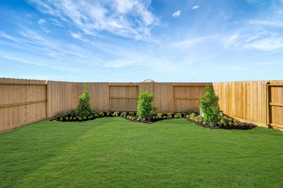 Amazing backyard with lush landscaping Amazing backyard with lush landscaping
