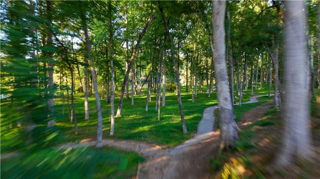 Natural landscape and outdoor views near Waterside Single Family in Peachtree Corners (Image 15).