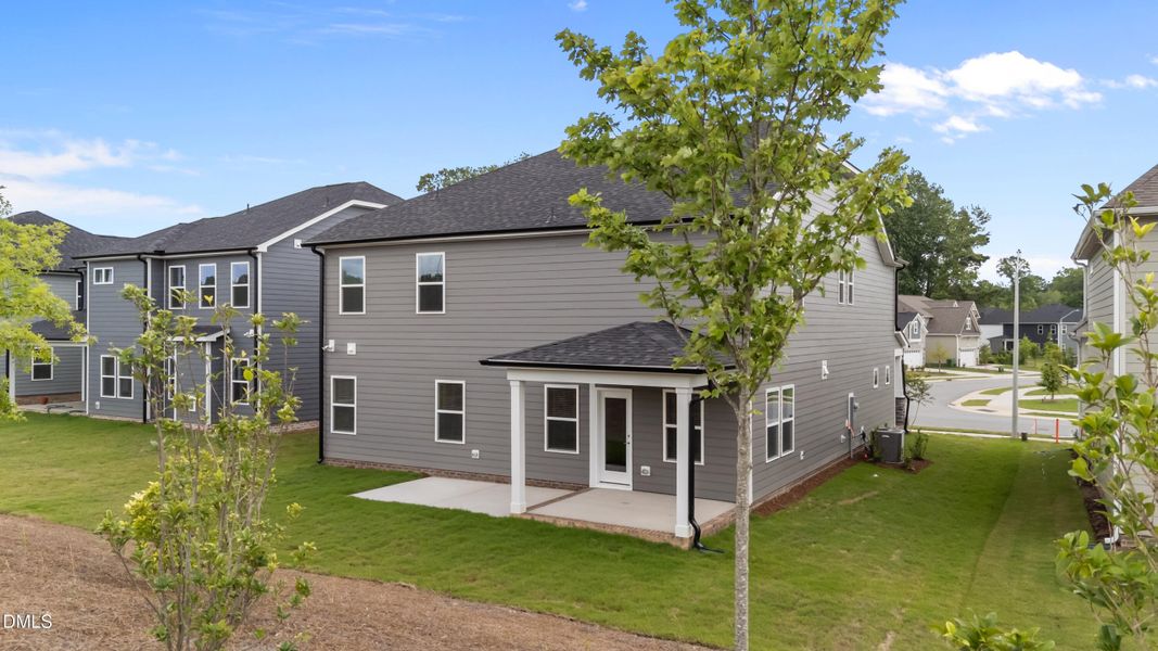 15-print-DJI_20250610123702_0031_D