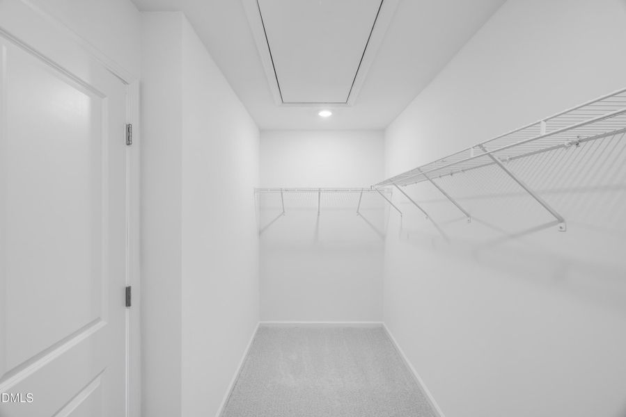 SUN_LawsonTownes_Pic_Cameron_Closet_1of1