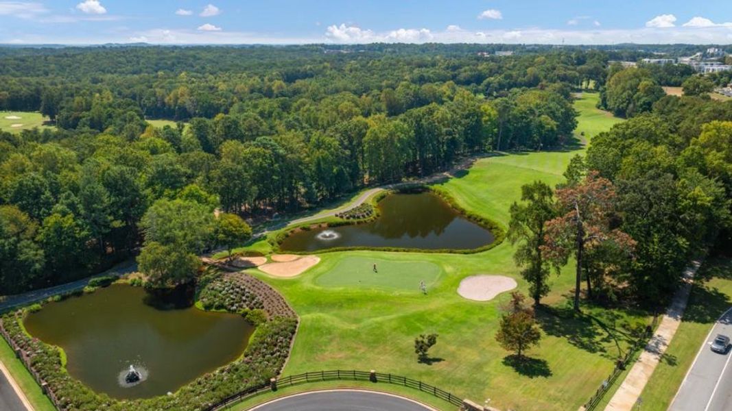 Natural landscape and outdoor views near Oconee Overlook in Gainesville (Image 36).