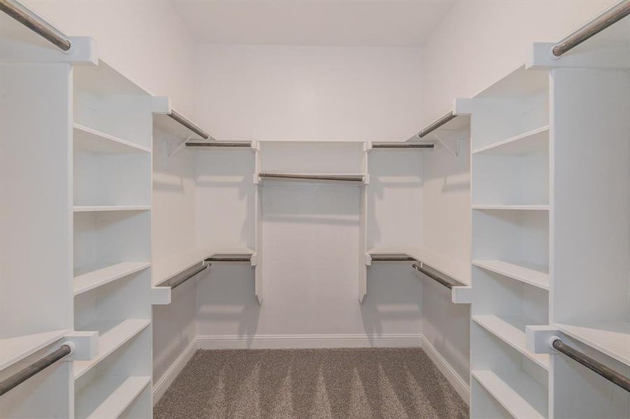 Spacious closet with carpet