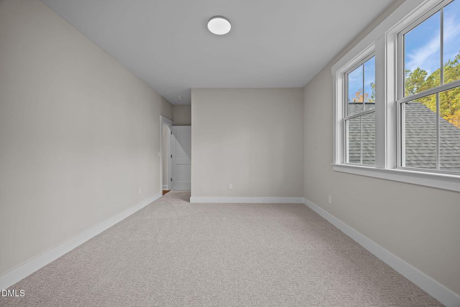 43-web-or-mls-2N6A4584