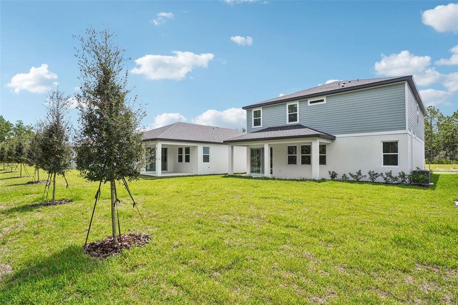 Exterior details and patio area of a home in Ridgehaven - Signature Series, Ormond Beach (Image 29).