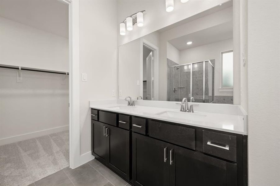 Discovery Collection at Bridgewater