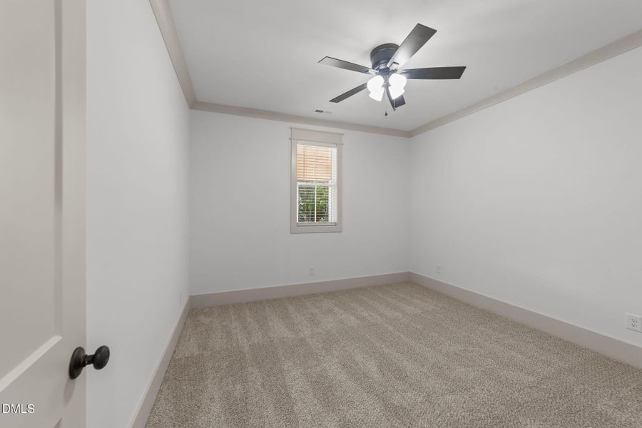 50-web-or-mls-VB4A6512