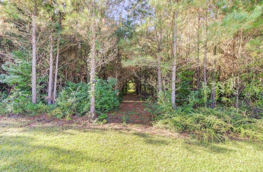 Natural landscape and outdoor views near  in Cottageville (Image 21).