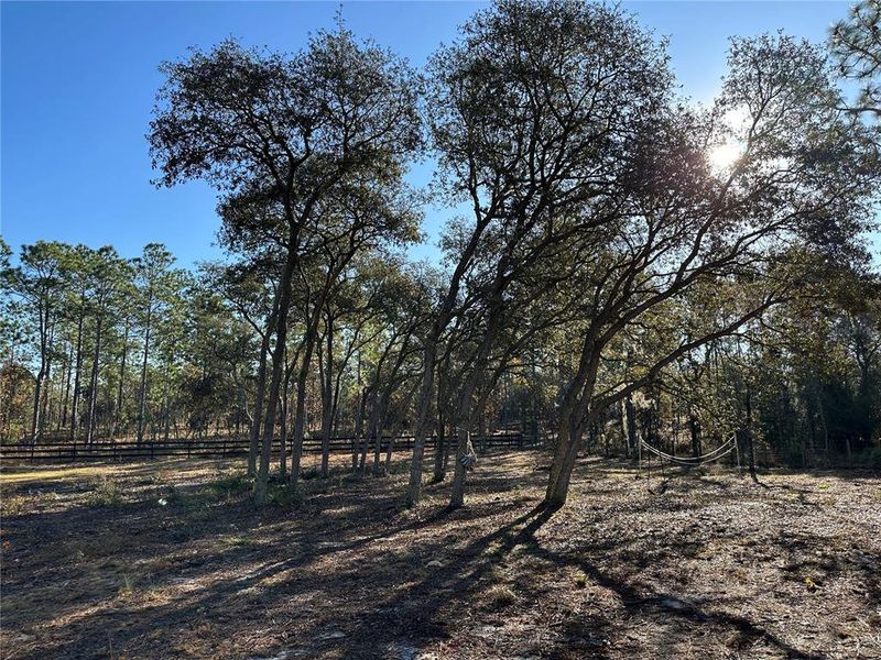 Natural landscape and outdoor views near in Williston (Image 32). Natural landscape and outdoor views near in Williston (Image 32).