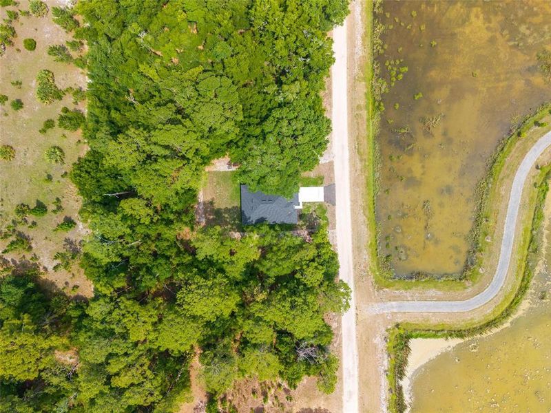 Natural landscape and outdoor views near  in Eustis (Image 55).