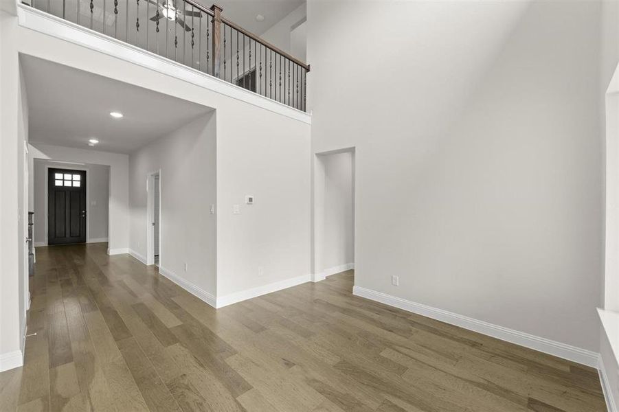 09_Grapevine II_Representative Photo