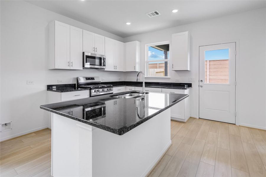 21834 Red Lantana ~ Ready Now 21834 Red Lantana ~ Ready Now