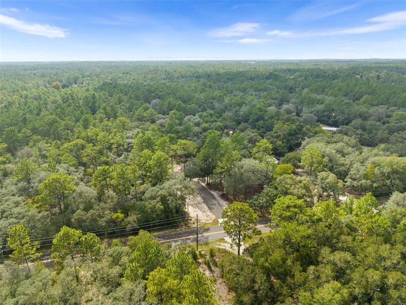 Natural landscape and outdoor views near  in Dunnellon (Image 29).