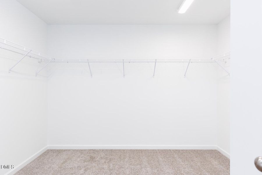 #119-PCK-Shenadoah (30)