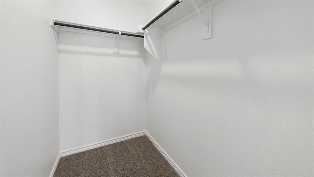 Walk in closet with carpet flooring