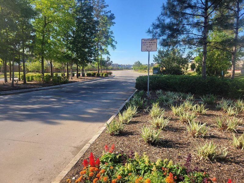 Image 36 of a home in Granger Pines.