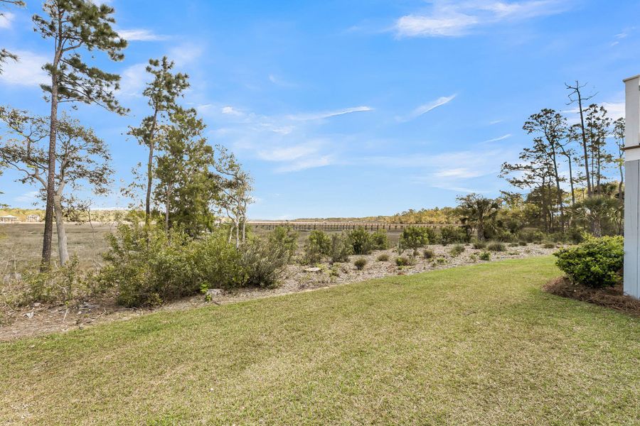 Natural landscape and outdoor views near Carolina Park: Riverside in Mount Pleasant (Image 83).