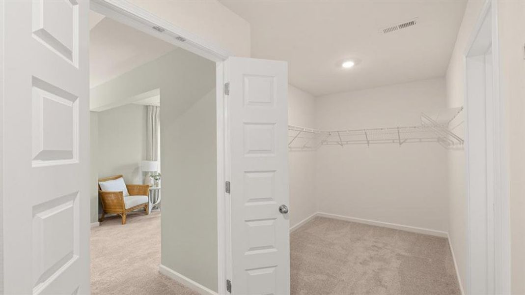 Spacious, unfurnished interior of a new home in Heritage Pointe, Senoia (Image 22).