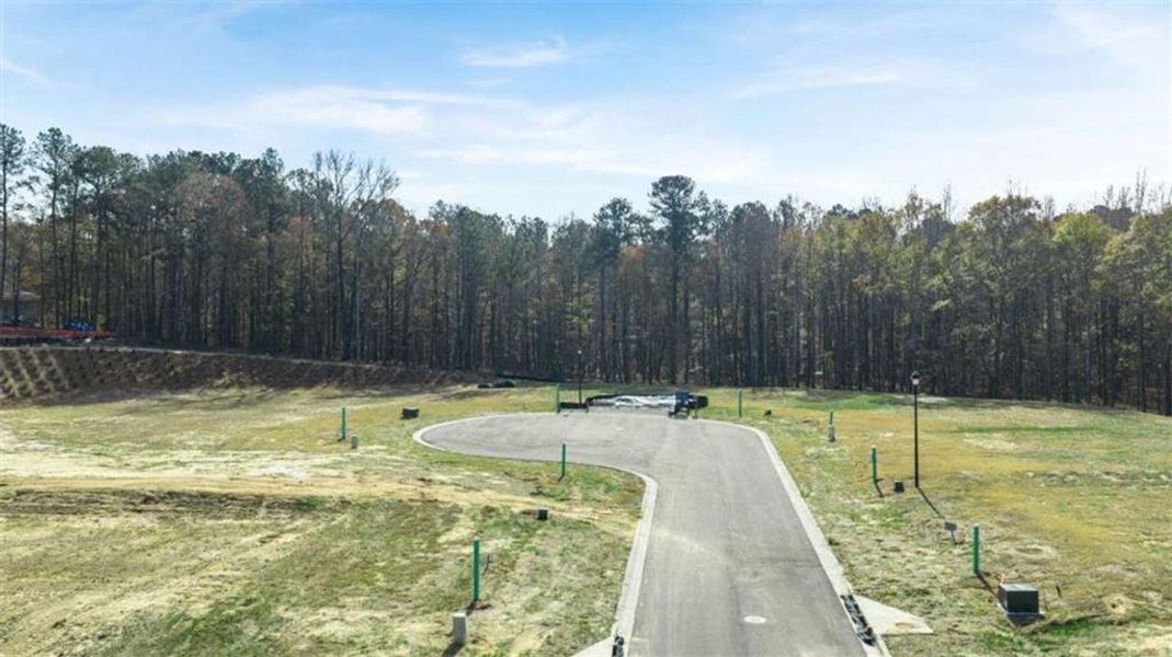 Natural landscape and outdoor views near WillowBrook in Winder (Image 32).