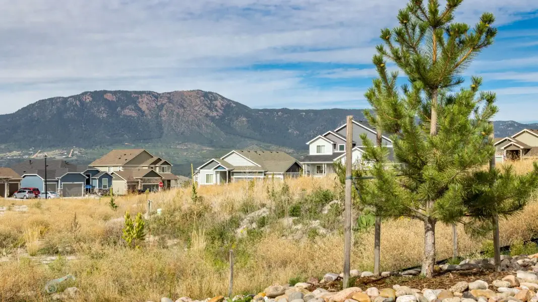 Natural landscape and outdoor views near Jackson Creek in Monument (Image 11). Natural landscape and outdoor views near Jackson Creek in Monument (Image 11).