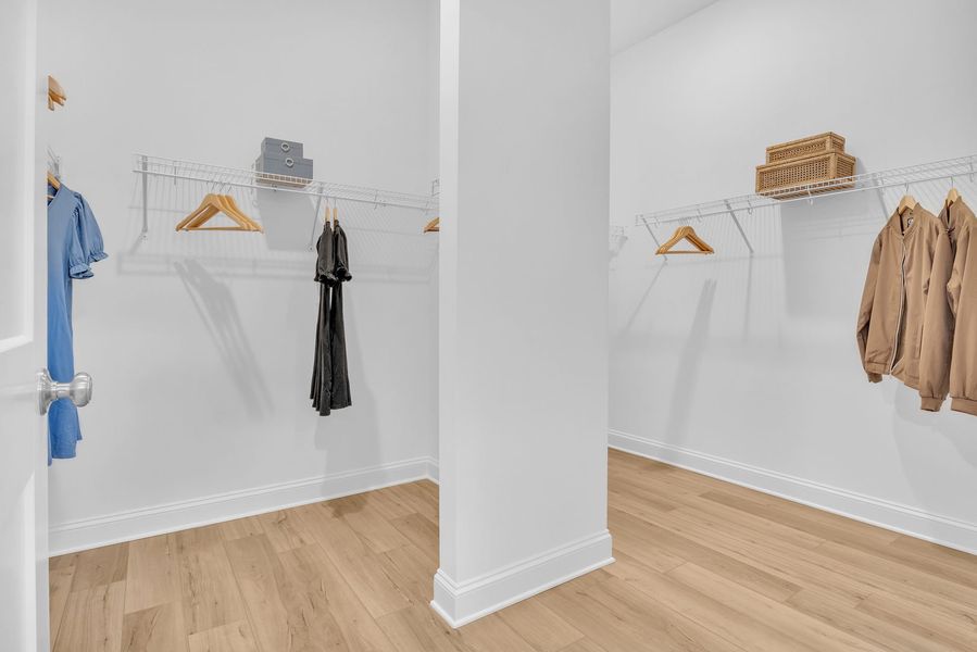 The Brandt The Brandt