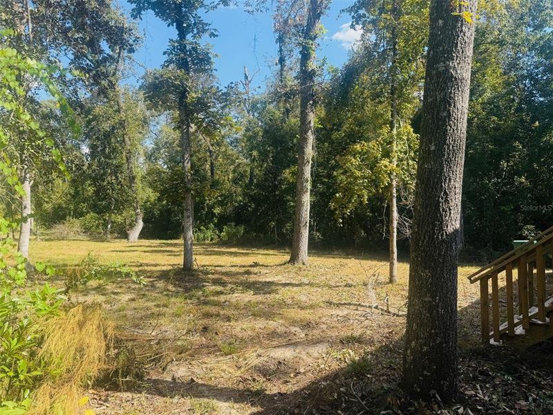 Natural landscape and outdoor views near  in Fort White (Image 20).