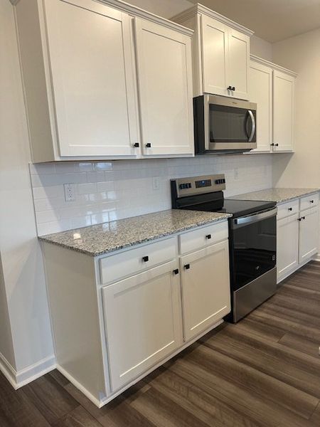 Furnished interior view inside a new home in Providence Station at Trolley Run, Aiken (Image 12).
