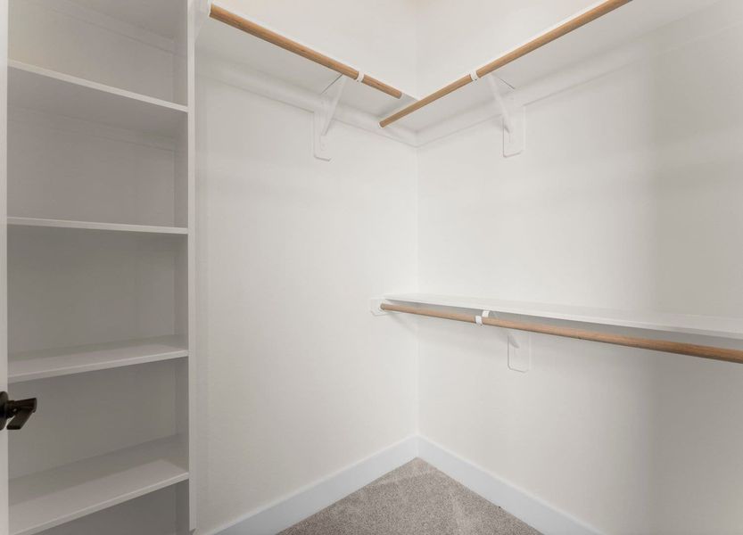 16-custom-DVA06224 16-custom-DVA06224