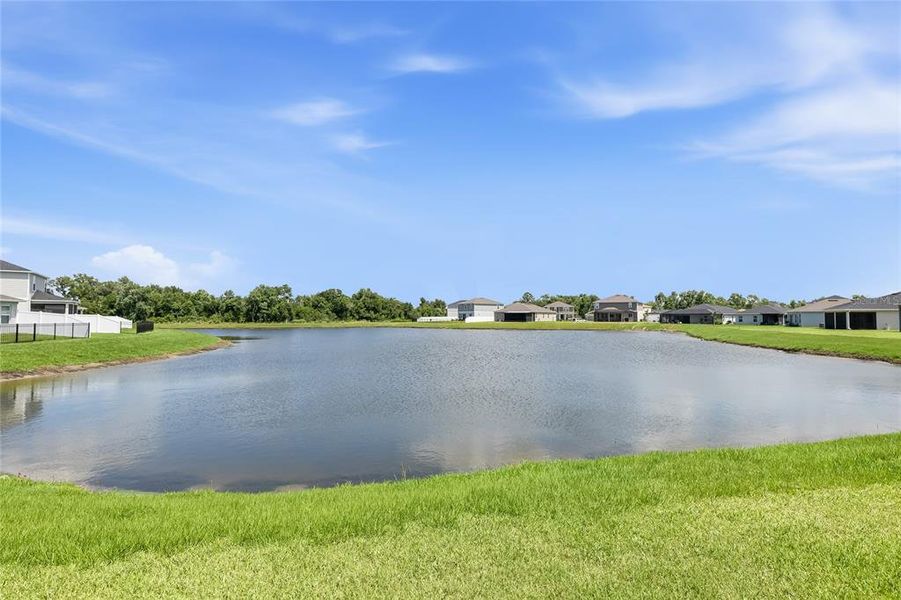 Natural landscape and outdoor views near  in Parrish (Image 41).