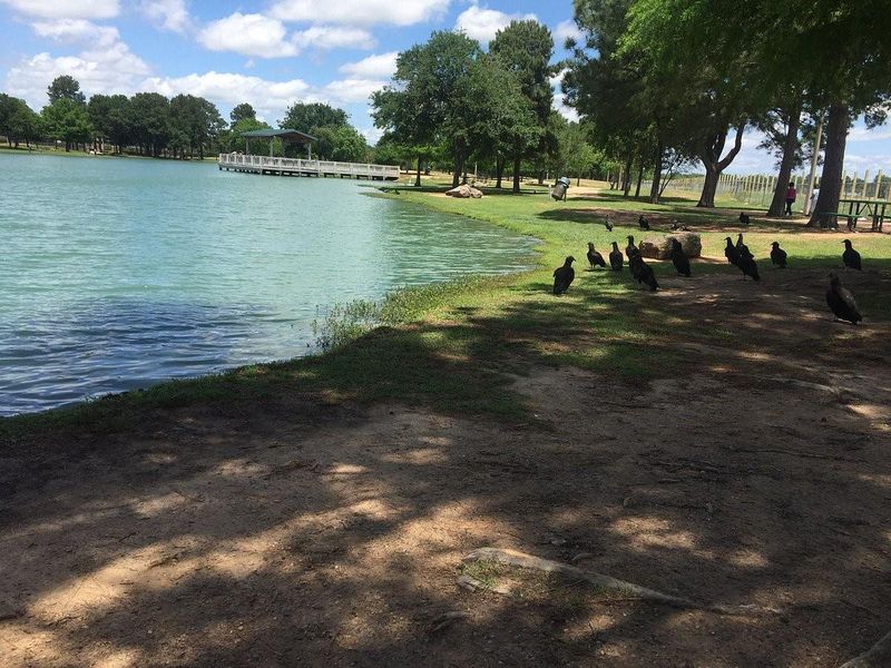 Natural landscape and outdoor views near Sofi Lakes in Katy (Image 9).